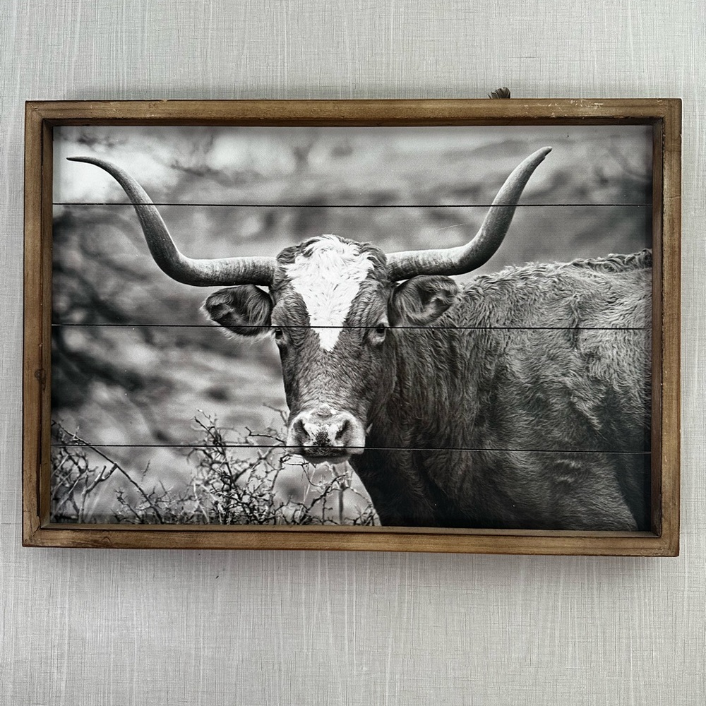 Rustic Longhorn Wall Art